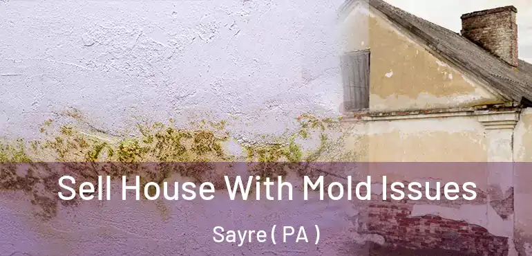 Sell House With Mold Issues Sayre ( PA )