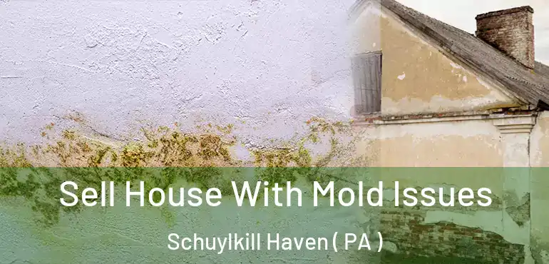  Sell House With Mold Issues Schuylkill Haven ( PA )