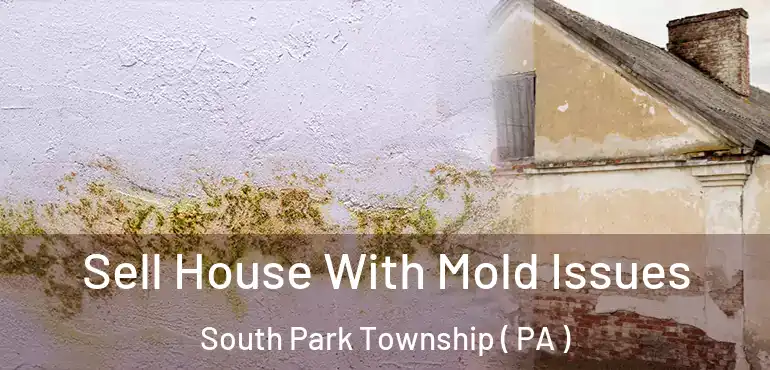  Sell House With Mold Issues South Park Township ( PA )
