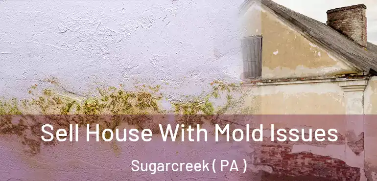  Sell House With Mold Issues Sugarcreek ( PA )