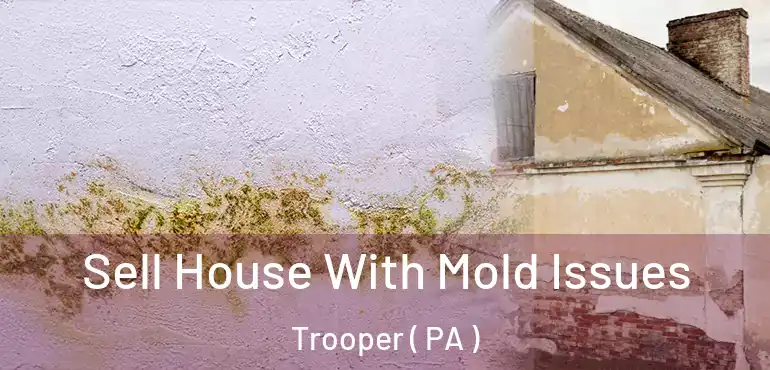  Sell House With Mold Issues Trooper ( PA )