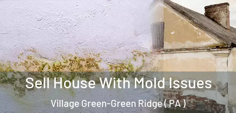  Sell House With Mold Issues Village Green-Green Ridge ( PA )