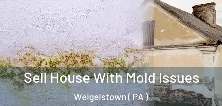  Sell House With Mold Issues Weigelstown ( PA )