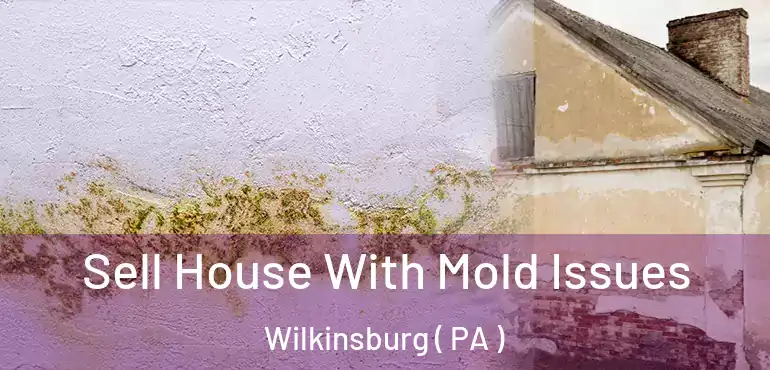  Sell House With Mold Issues Wilkinsburg ( PA )