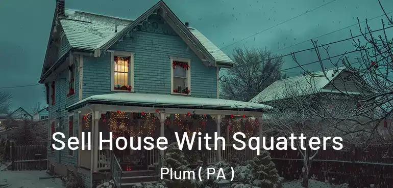  Sell House With Squatters Plum ( PA )