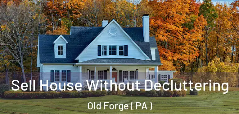  Sell House Without Decluttering Old Forge ( PA )