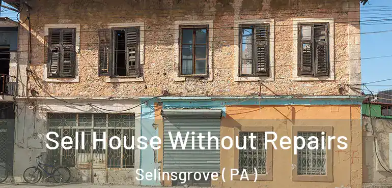  Sell House Without Repairs Selinsgrove ( PA )