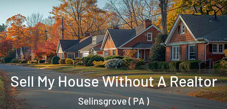  Sell My House Without A Realtor Selinsgrove ( PA )