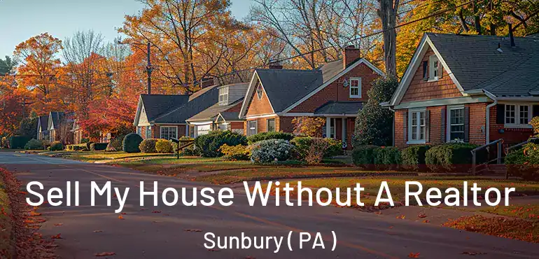  Sell My House Without A Realtor Sunbury ( PA )