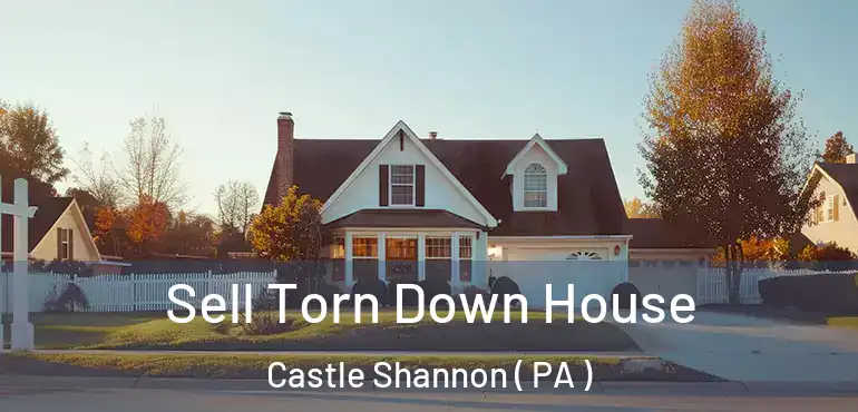  Sell Torn Down House Castle Shannon ( PA )